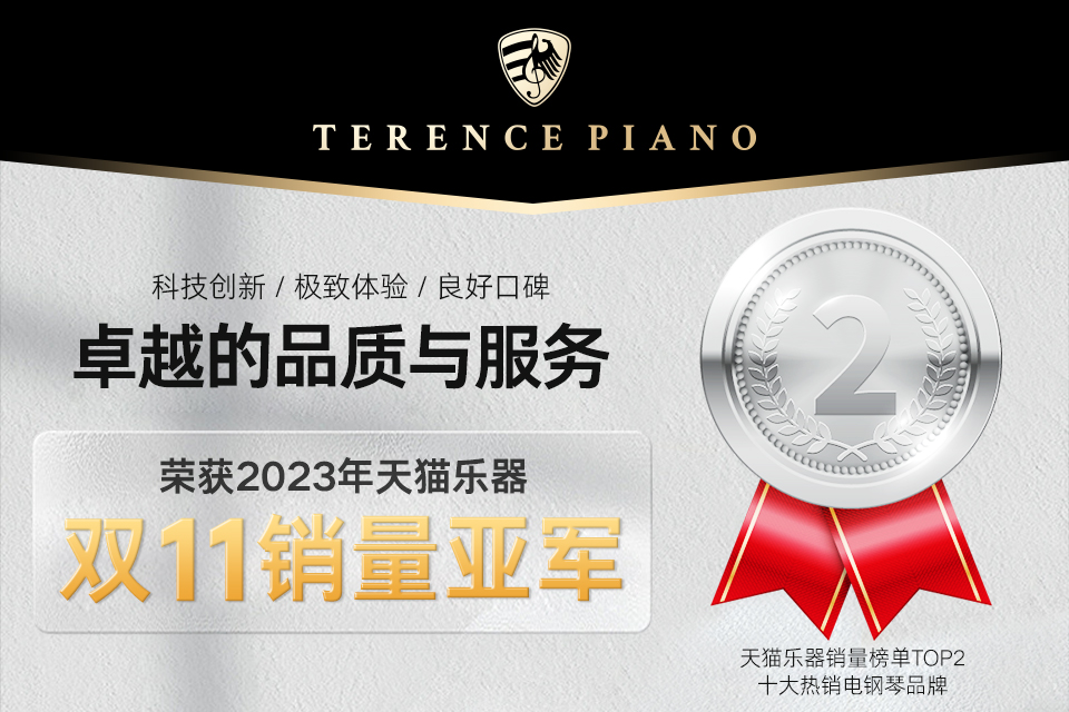 恭喜TERENCE荣获2023年天猫乐器双11销量亚军！