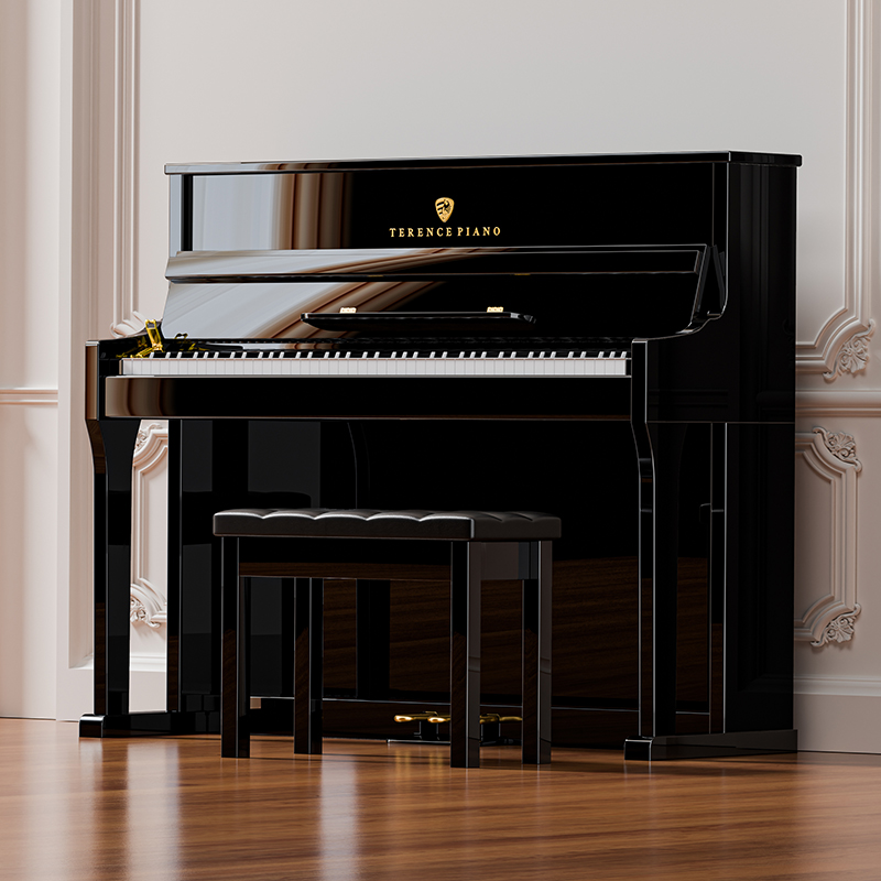 探索特伦斯电钢琴的魅力世界
